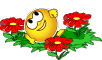 Animated Smileys Summer 001
