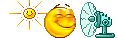 Animated Smileys Summer 014